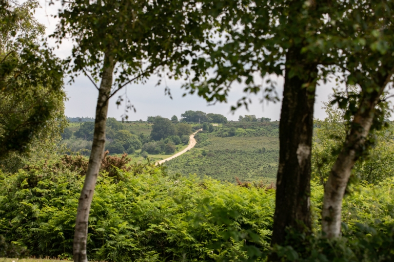 New Homes & Apartments For Sale In Verwood Dorset